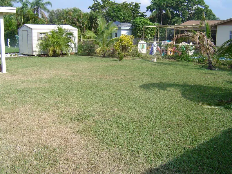 Project C before